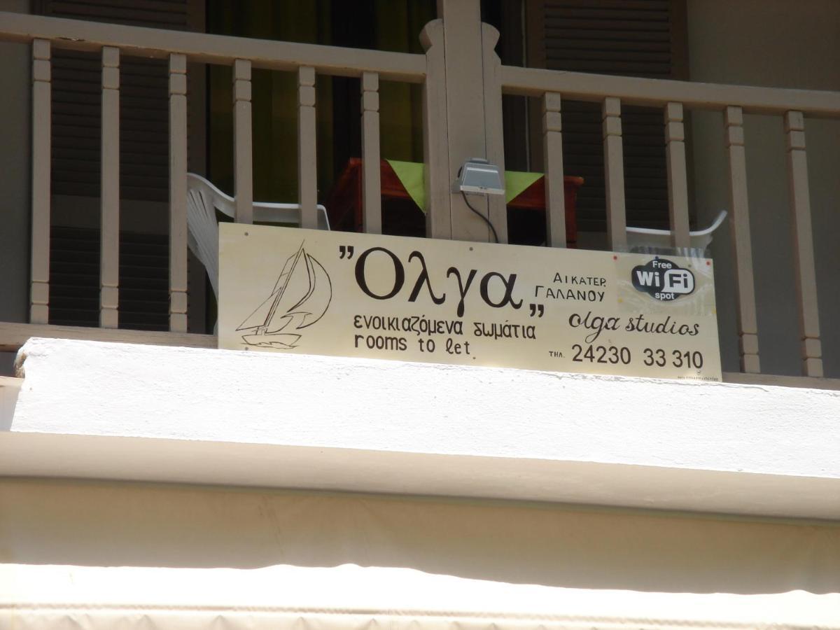 Olga Studios Áfissos Oda fotoğraf