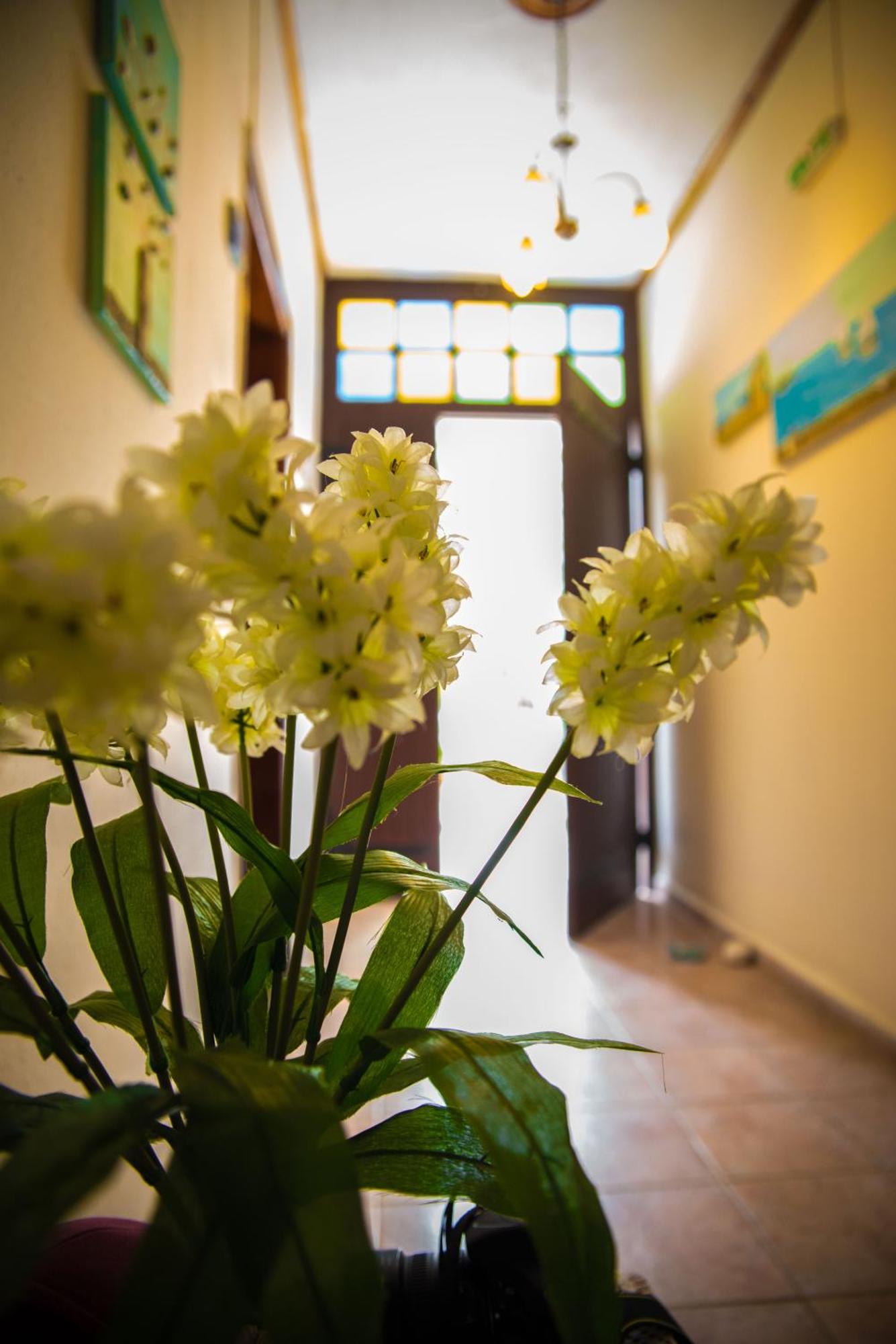 Olga Studios Áfissos Oda fotoğraf
